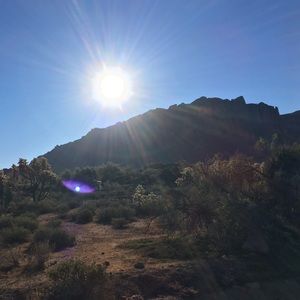 Meet your Posher, Peter